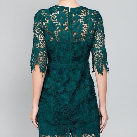 Minuet Lace fitted sheath dress - Picture 2 of 4